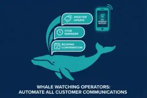 Whale Watching