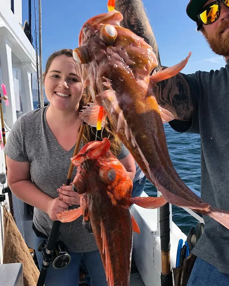GoFish.Rocks online booking system for fishing charters and tours