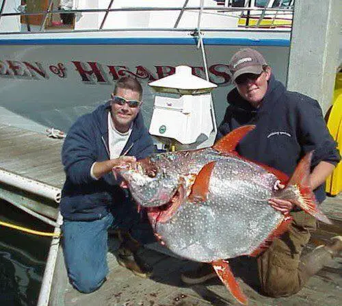 GoFish.Rocks marketplace for fishing trips and water tours