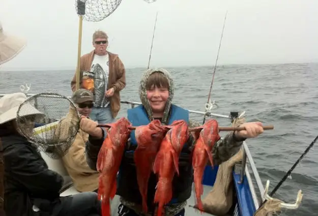 GoFish.Rocks - book fishing charters, scuba, sunset cruises