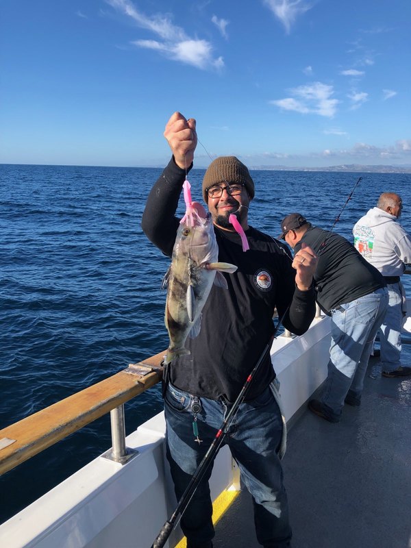 2019 361 1642 3049 Sm Sand Bass | GoFish.Rocks