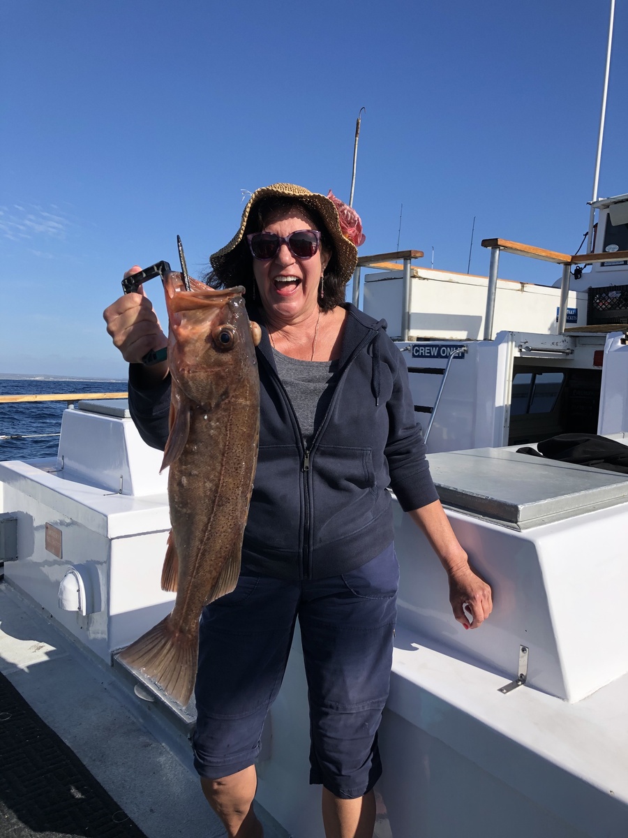 2020 66 1336 6949 0004 | GoFish.Rocks