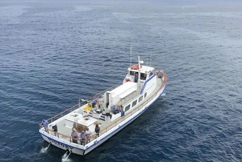 GoFish.Rocks - book fishing charters, scuba, sunset cruises
