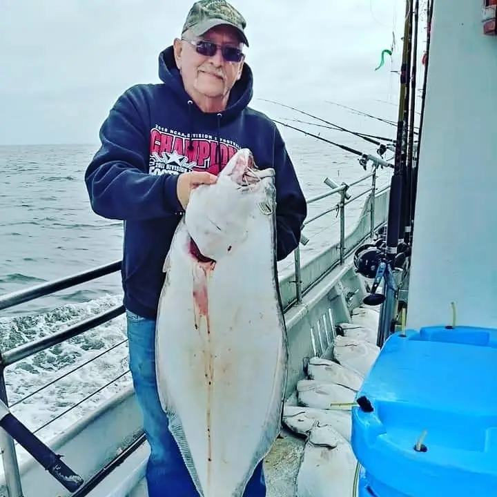 GoFish.Rocks - book fishing charters, scuba, sunset cruises