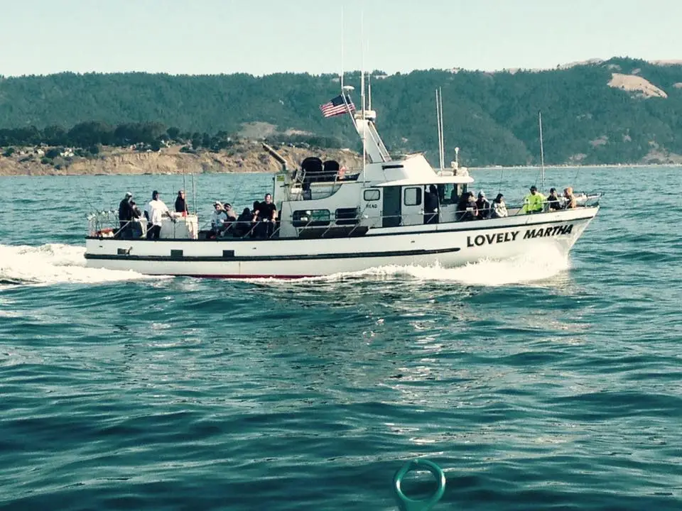Charter operator listing on GoFish.Rocks