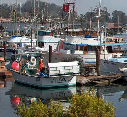 GoFish.Rocks online booking system for fishing charters and tours