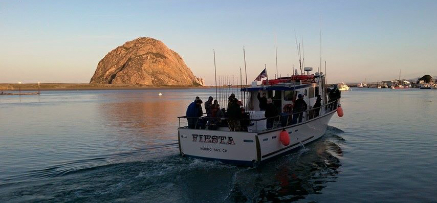 GoFish.Rocks - book fishing charters, scuba, sunset cruises